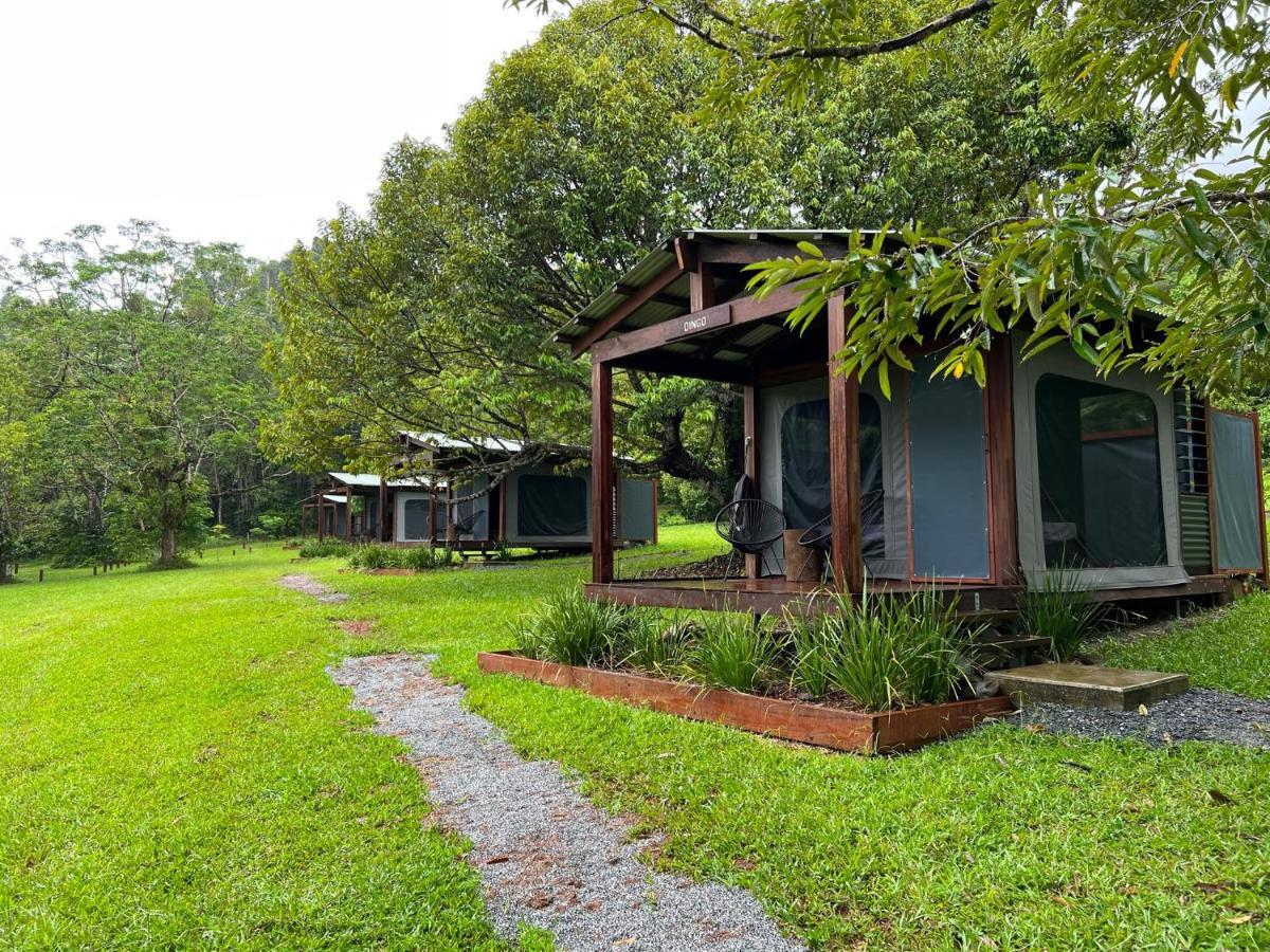 Noah Creek Eco Huts Villa เคปทริบูเลชัน ภายนอก รูปภาพ